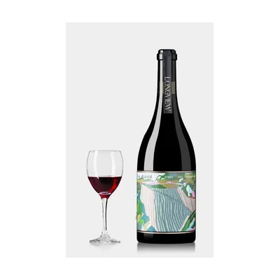 Longview The Piece Shiraz 2020