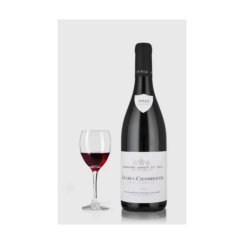 Gevrey Chambertin Léon Amiot 2021
