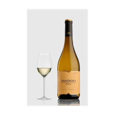 Bodegas Anadigna Fudre Albarino 2023