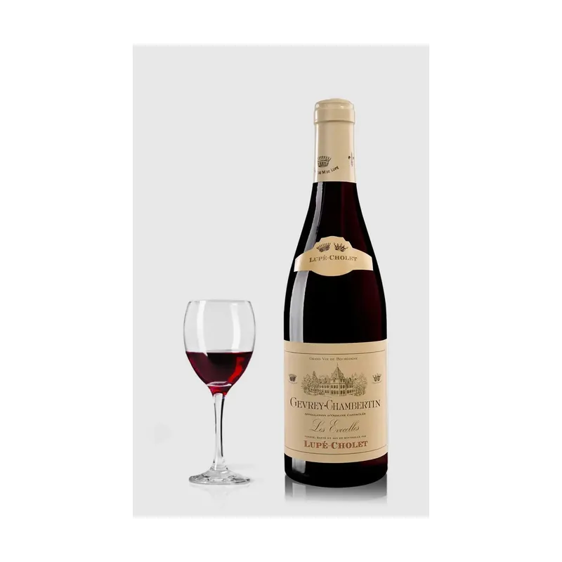 Lupé-Cholet Gevrey Chambertin Les Evocelles 2020