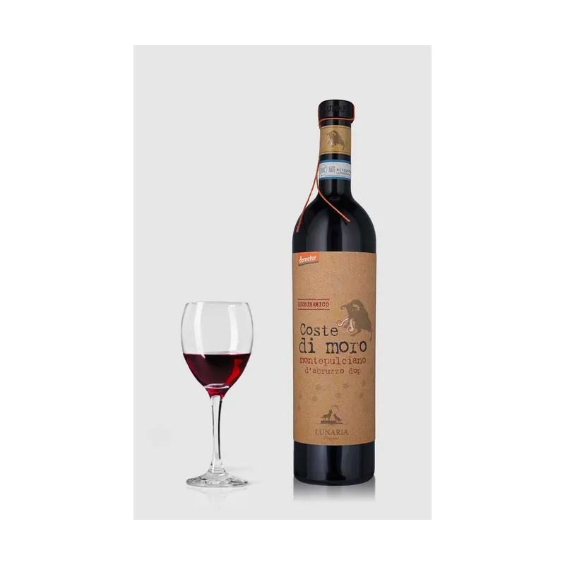 Coste di Moro BIO Montepulciano d'Abruzzo DOP Cantina Orsogna 2020 – Cantina Orsogna