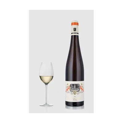 Dürkheimer Spielberg ØKO Riesling Trocken 2023