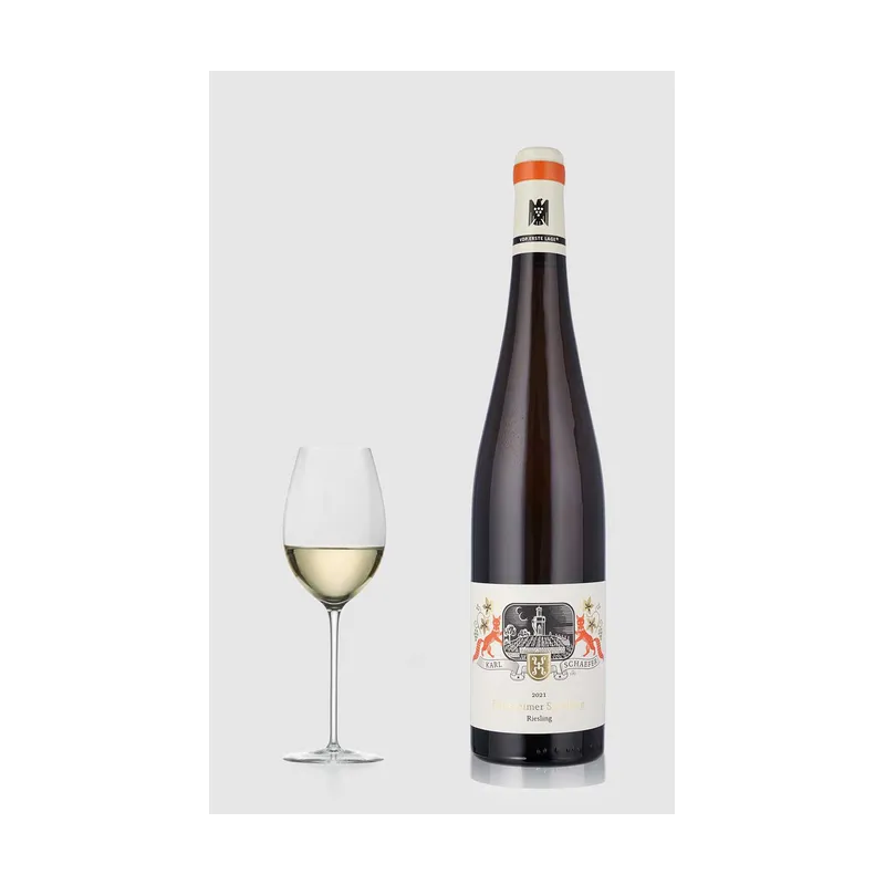 Dürkheimer Spielberg ØKO Riesling Trocken 2023