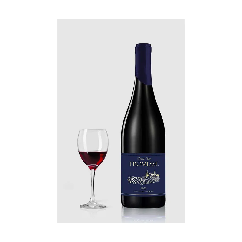 Promesse Pinot noir ØKO IGP Pays dOc 2022