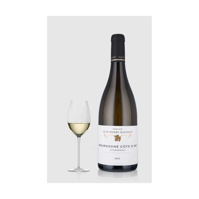 Domaine Jean-Pierre Maldant Bourgogne Cote D'or Blanc 2022