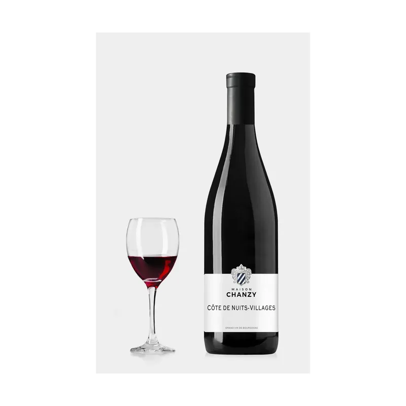 Domaine Chanzy Cote De Nuits Villages 2017