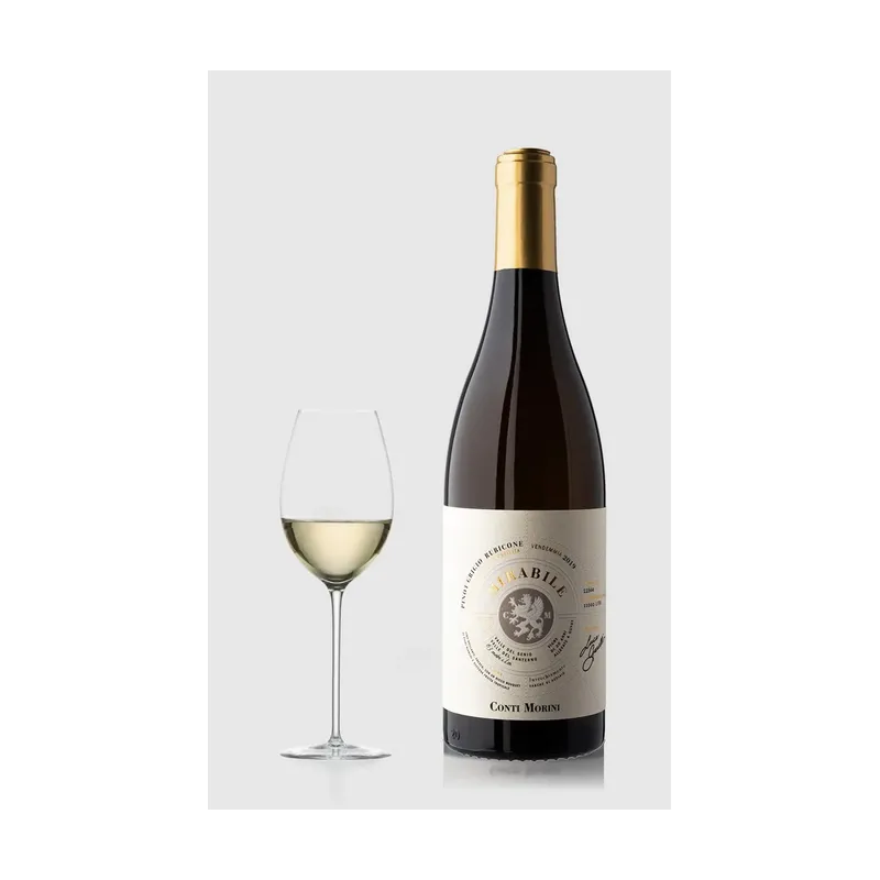 Conti Morini Mirabile Pinot Grigio 2024