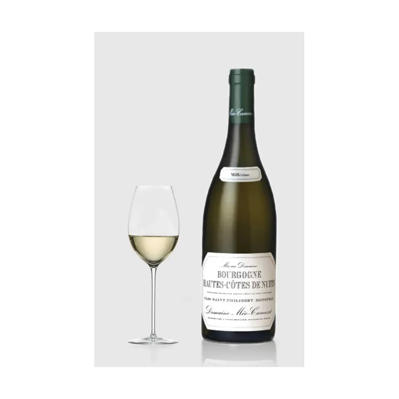 Hautes-Cotes De Nuits Blanc Clos St. Philibert, Méo-Camuzet 2023 – Domaine Méo-Camuzet