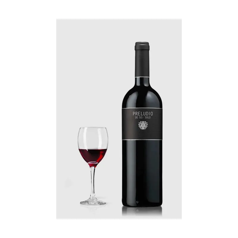 Sei Solo Preludio Ribera Del Duero 2021