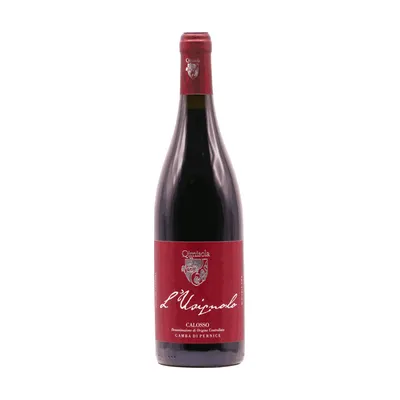 Qimisola L'Usignolo Calosso Gamba Di Pernice 2018
