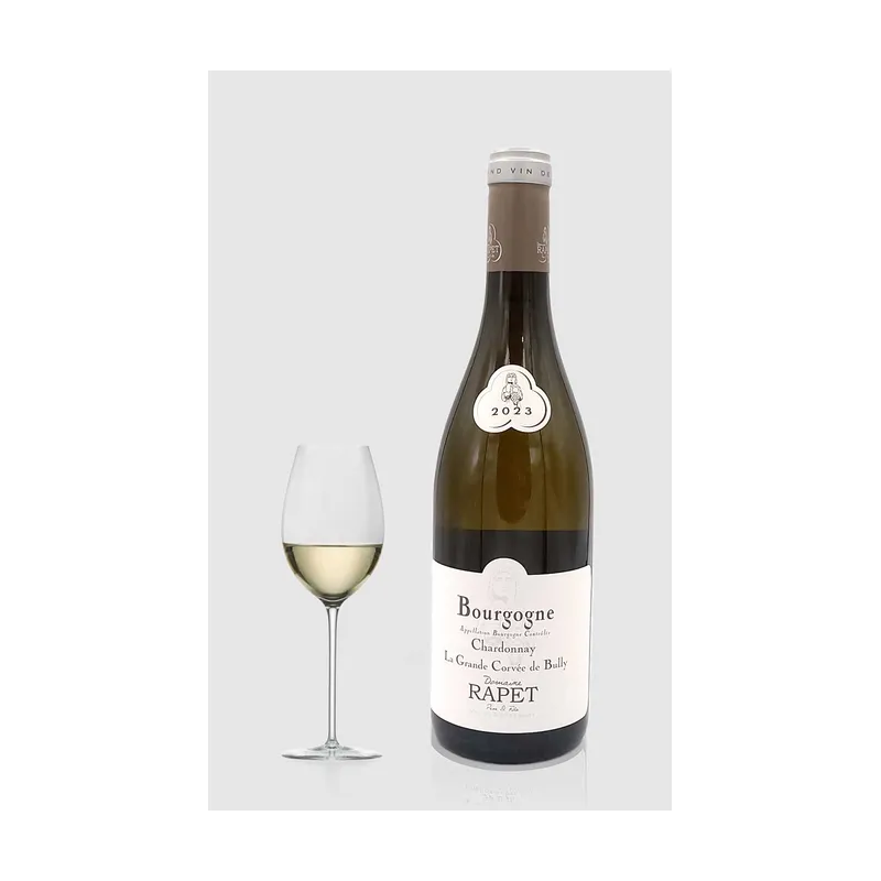 Domaine Rapet Père et Fils Rapet Bourgogne Blanc 2023