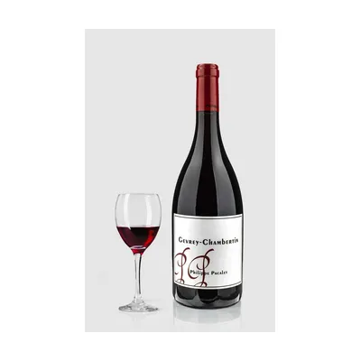 Philippe Pacalet Gevrey Chambertin 2023