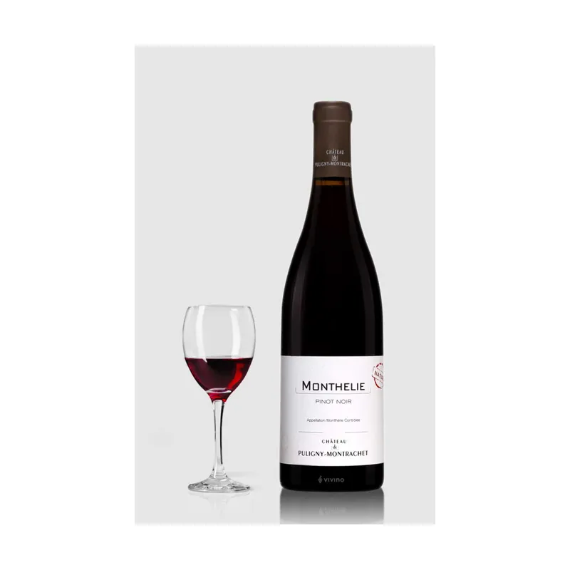 Château de Puligny Montrachet Monthelie Rouge Nature 2016