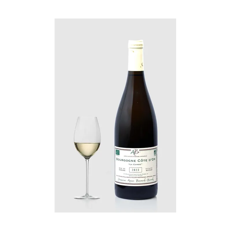 Bourgogne Côte d'Or Blanc "La Combe" 2023 – Bavard-Brooks