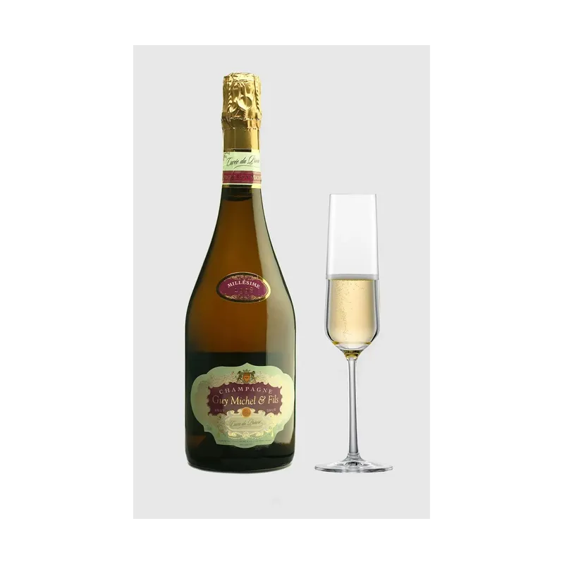Guy Michel Brut Champagne 1998