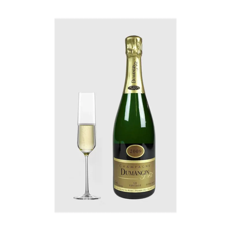 Champagne Dumangin Fils Premier Cru Extra Brut 2009 – Dumangin Fils