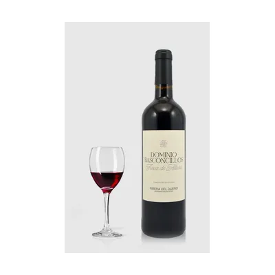 Dominio Basconcillos Vina Magna Finca de Altura 2024