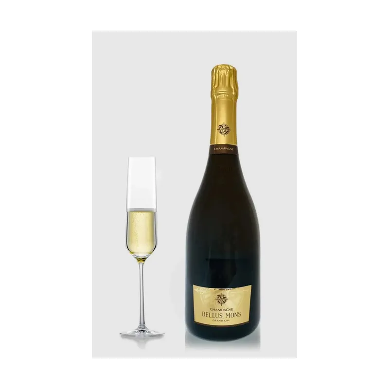 Paul Sadi Champagne Bellus Mons 2017