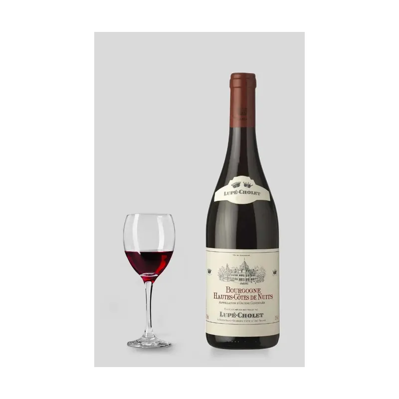 Lupé-Cholet Bourgogne Hautes-Côtes de Nuits 2020