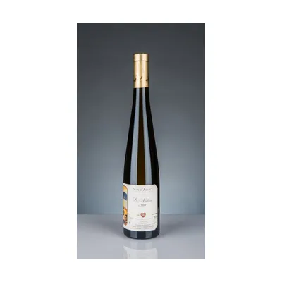 Aime Stentz, Pi-Noblesse 2013