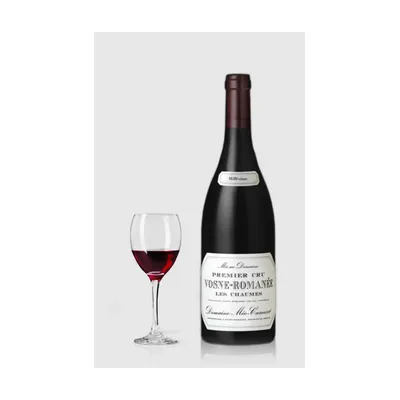 Domaine Méo-Camuzet Vosne-Romanée 1. Cru Les Chaumes 2021