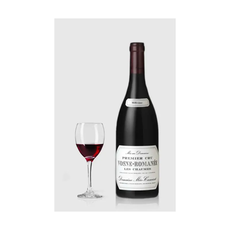 Domaine Méo-Camuzet Vosne-Romanée 1. Cru Les Chaumes 2021