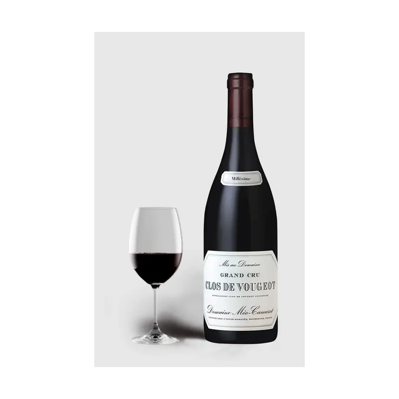 Clos De Vougeot Grand Cru Domaine Méo-Camuzet 2021 – Domaine Méo-Camuzet