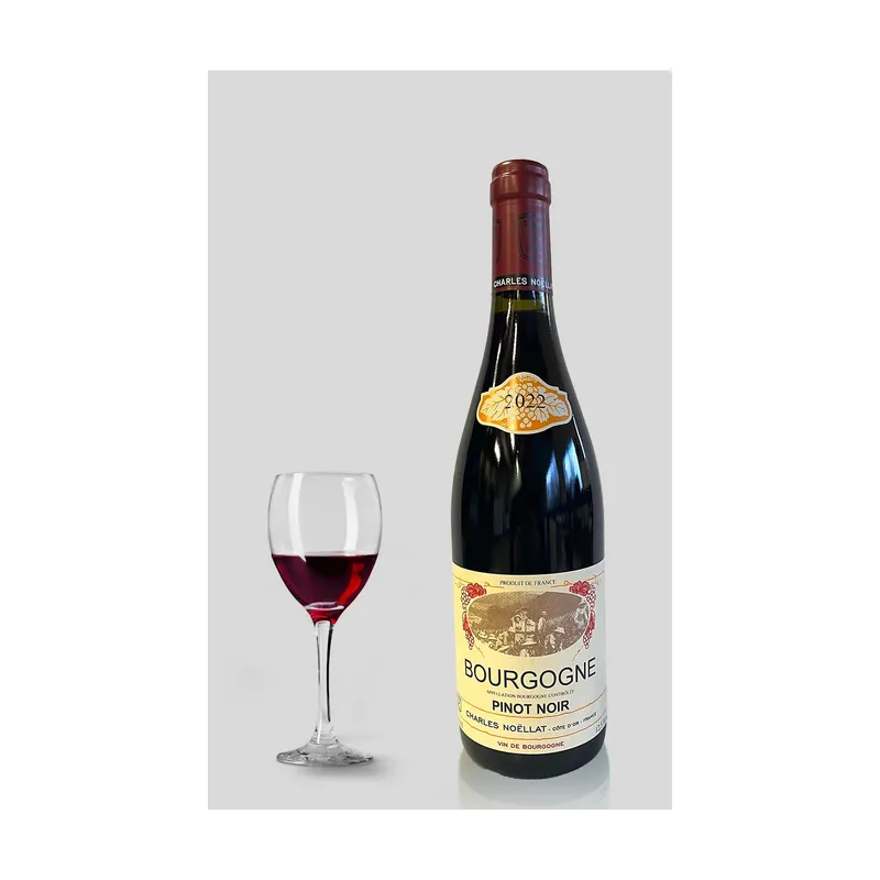 Bourgogne Pinot Noir 2022  Domaine Charles Noëllat – Domaine Charles Noëllat