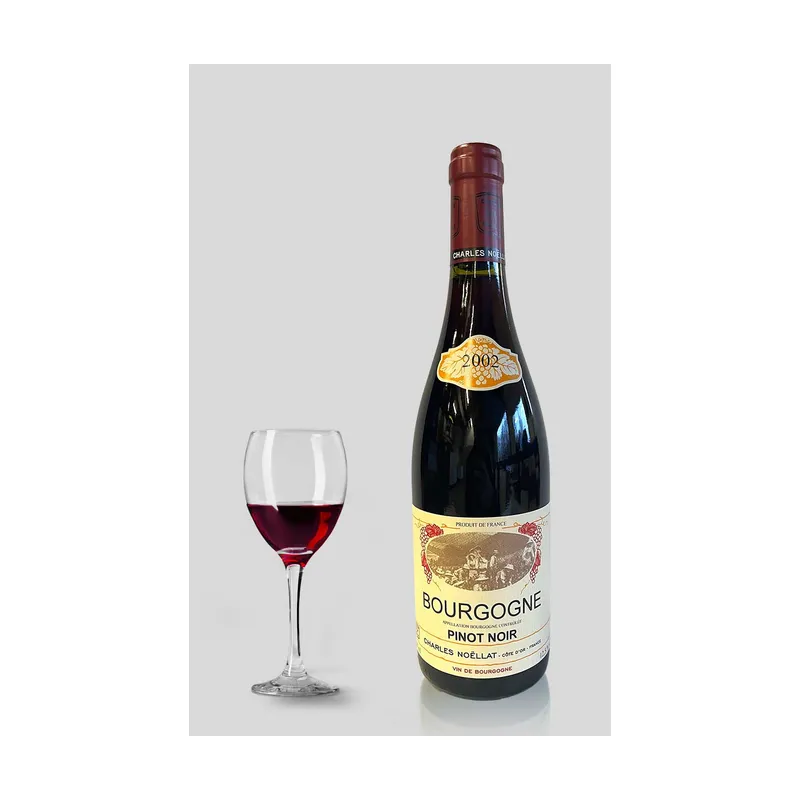 Bourgogne Pinot Noir 2002  Domaine Charles Noëllat – Domaine Charles Noëllat