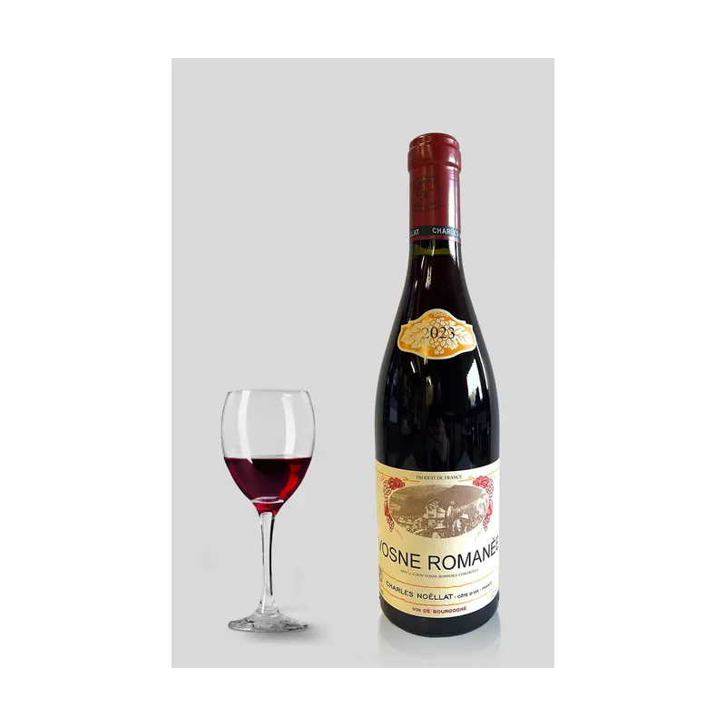 Vosne Romanée 2023 Rouge Maison Charles Noëllat – Maison Charles Noëllat
