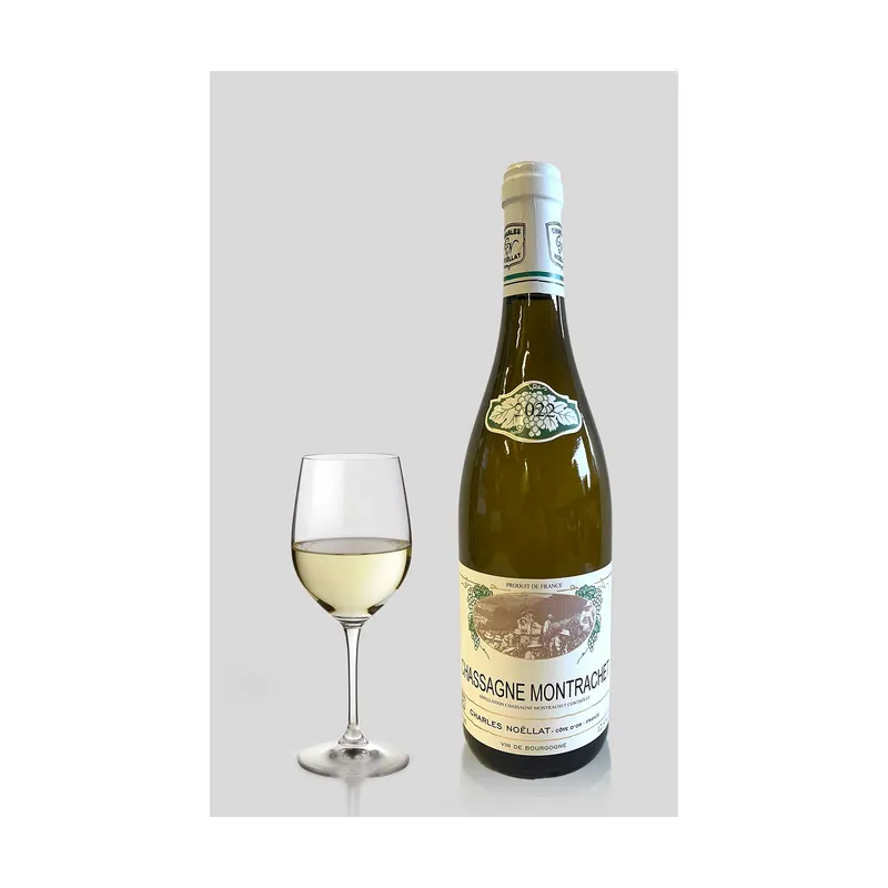 Chassagne Montrachet 2022 Blanc Maison Charles Noëllat – Maison Charles Noëllat