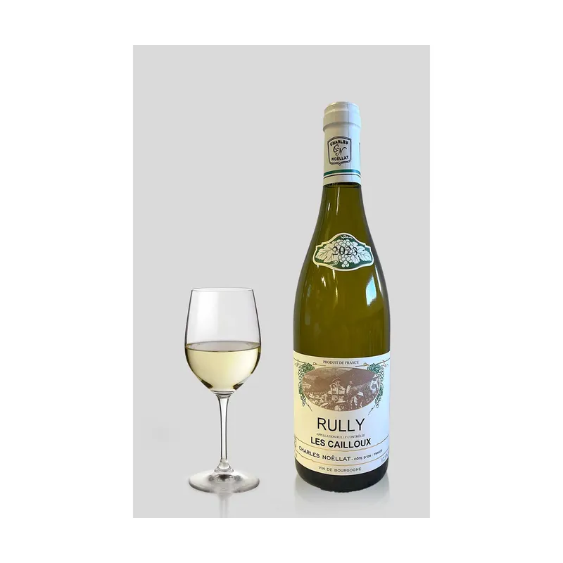 Rully Les Cailloux 2023 Blanc Maison Charles Noëllat – Maison Charles Noëllat