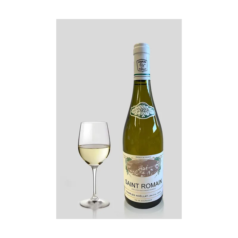 Saint-Romain 2023 Blanc Maison Charles Noëllat – Maison Charles Noëllat