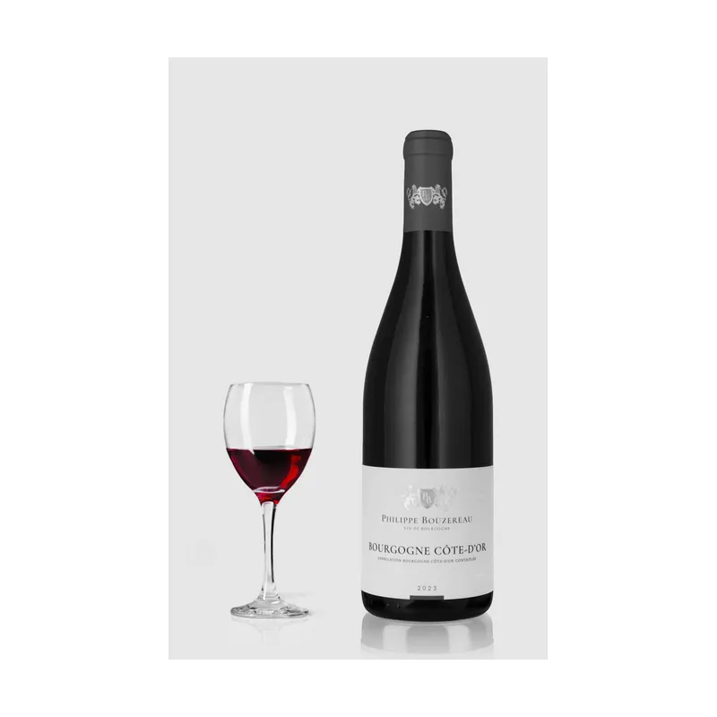 Domaine Philippe Bouzereau Bourgogne Cote Dor Rouge 2023
