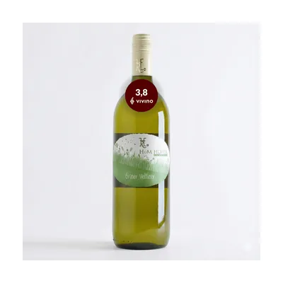 2024 H.u.M. Hofer Grüner Veltliner Biodynamisk Hvidvin (1 Liter), Auersthal Østrig – H.u.M. Hofer