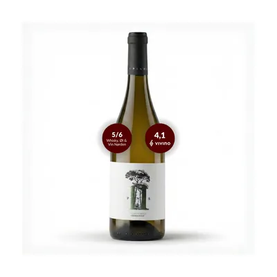 11 Pinos Chardonnay - Økologisk spansk hvidvin fra Vega Tolosa, Manchuela – Vega Tolosa