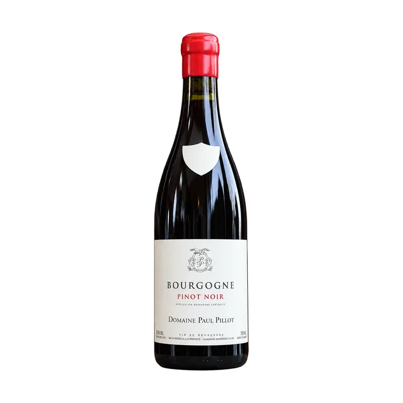 Bourgogne Rouge – Paul Pillot