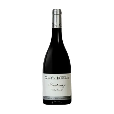 Domaine Guy & Yvan Dufouleur Santenay Rouge "Clos Genets 2022