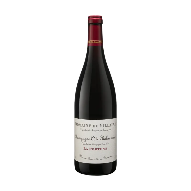 Côte Chalonnaise La Fortune Rouge – Domaine de Villaine