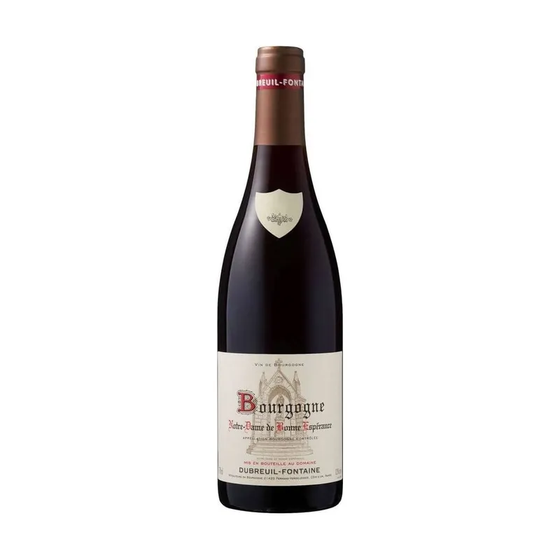 Bourgogne Rouge Pinot Noir "Notre Dame de Bonne Espérance", Domaine Dubreuil-Fontaine 2024 – Domaine Dubreuil - Fontaine