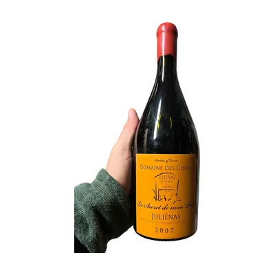 Domaine des Chers Juliénas 2007