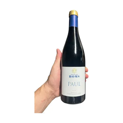 Domaine des Homs Paul 2015