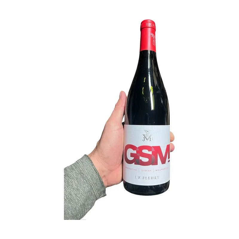 J.V. Fleury GSM 2010 – GSM