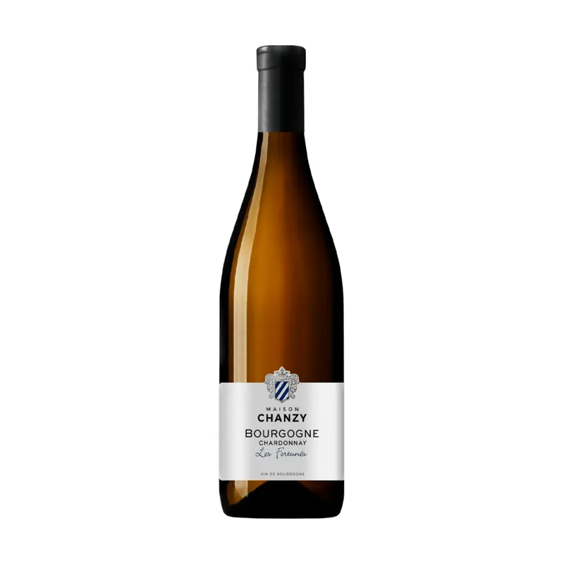 Domaine Chanzy Bourgogne Chardonnay Les Fortunés 2022