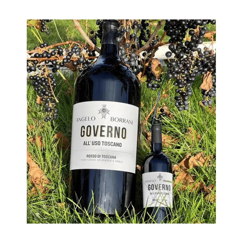 Angelo Borrani Governo All'Uso Toscano Rosso di Toscana 2019 9 liter