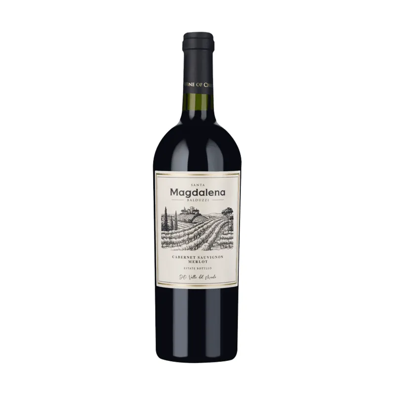Santa Magdalena Balduzzi 2019 0,75 cl