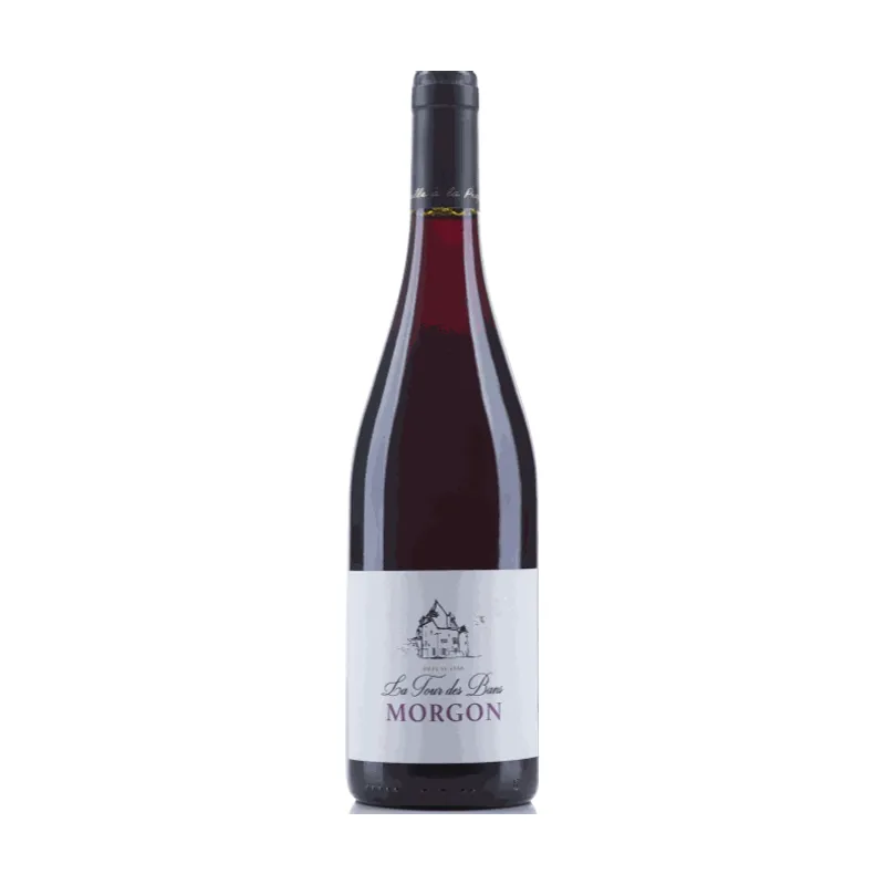 Domaine de la Tour des Bans Morgon 2022