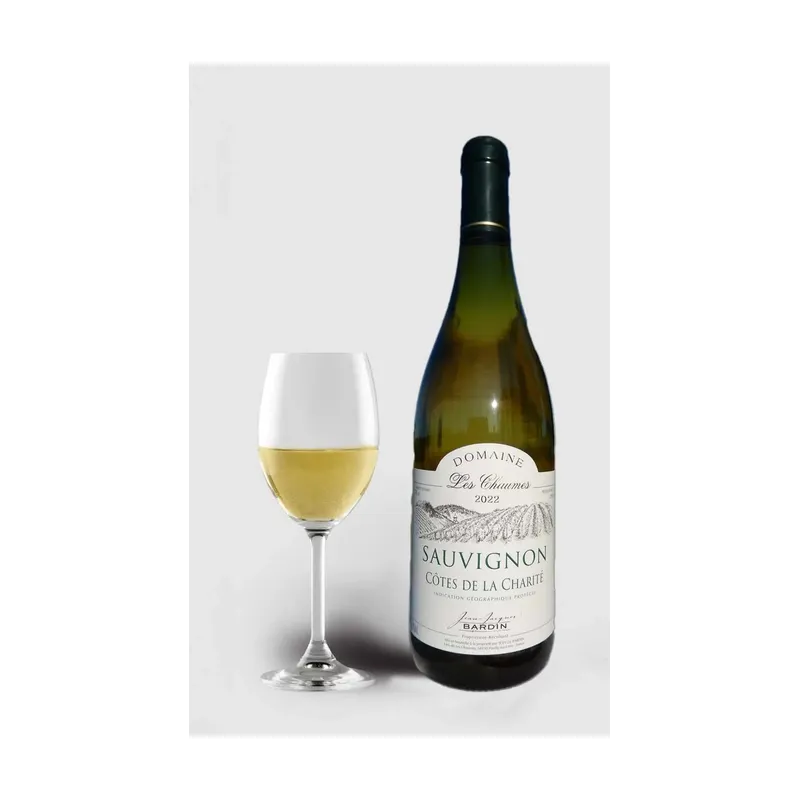 Jean Jacques Bardin Côtes de la Charite Sauvignon 2022