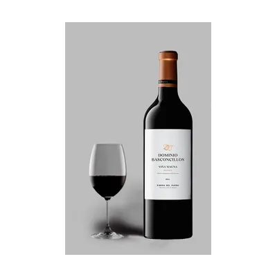 Vina Magna Dominio Basconcillos Reserva Magnum 2019 – Dominio Basconcillos