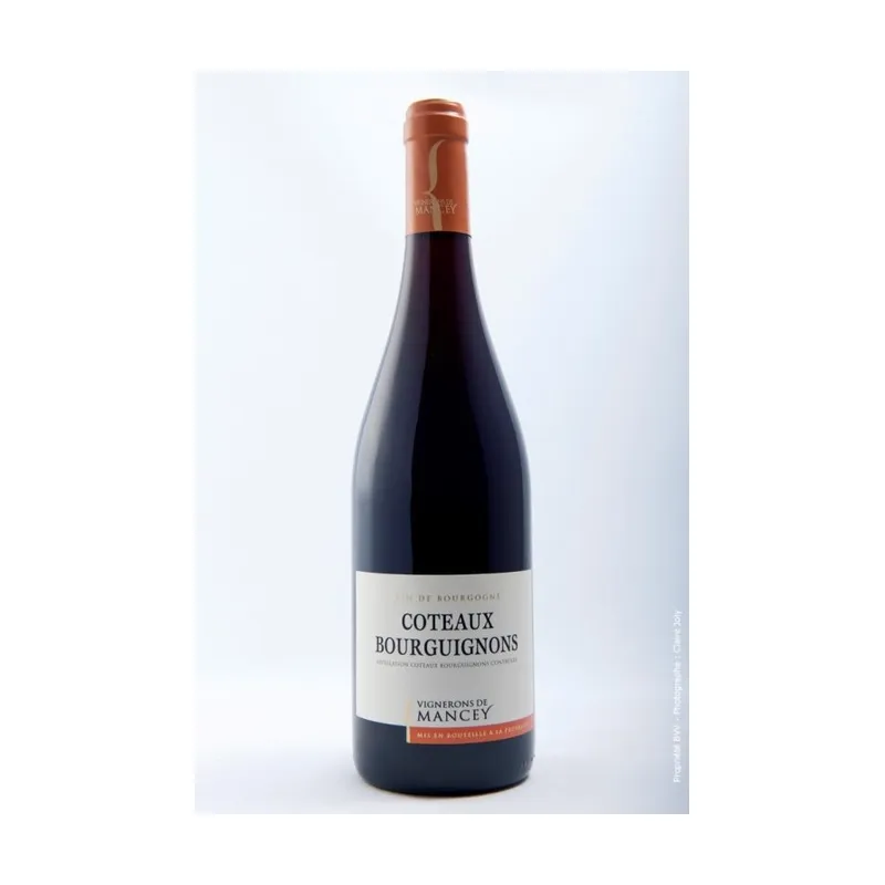 Les Vignerons de Mancey Côteaux Bourguignons Rouge 2021